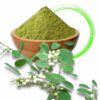 Flueggea Leucopyrus Powder