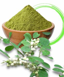 Flueggea Leucopyrus Powder