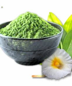 Insulin Plant Powder Pure Costus Leaf Powder (Costus Igneus)