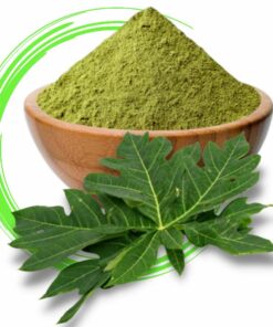 Papaya Leaves Powder