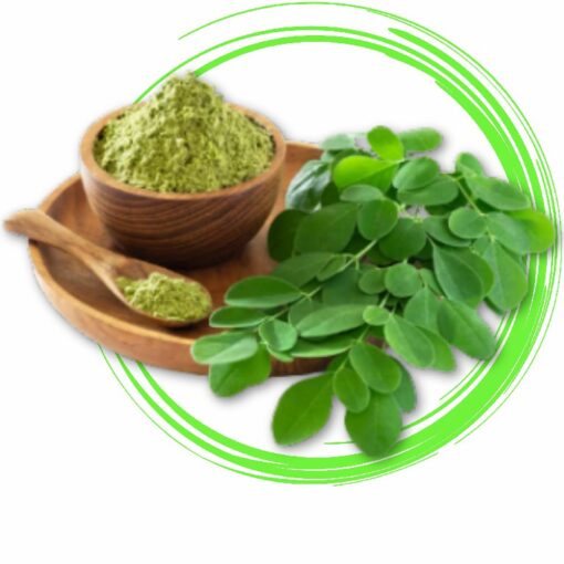 Organic Moringa Powder