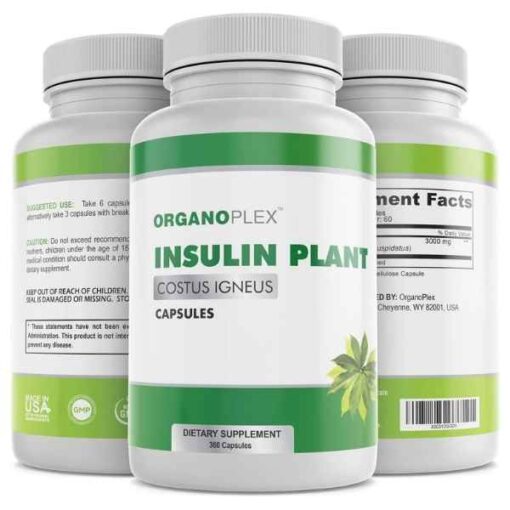 Insulin Plant Capsules (Costus Igneus), 100% Natural Supplement, 360 Veggie Caps (2 Month Supply) - Insulin Plant